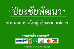 ปิยะชัยพัฒนา-รถทัวร์ด่านนอก-หาดใหญ่-เชียงราย-แม่สาย